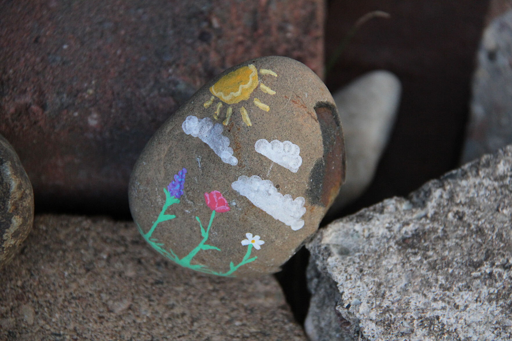 bee-lawn-3962-painted-stone.jpg